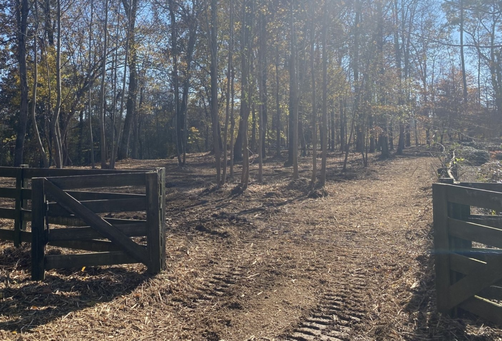 Professional Forestry Mulching Canton GA