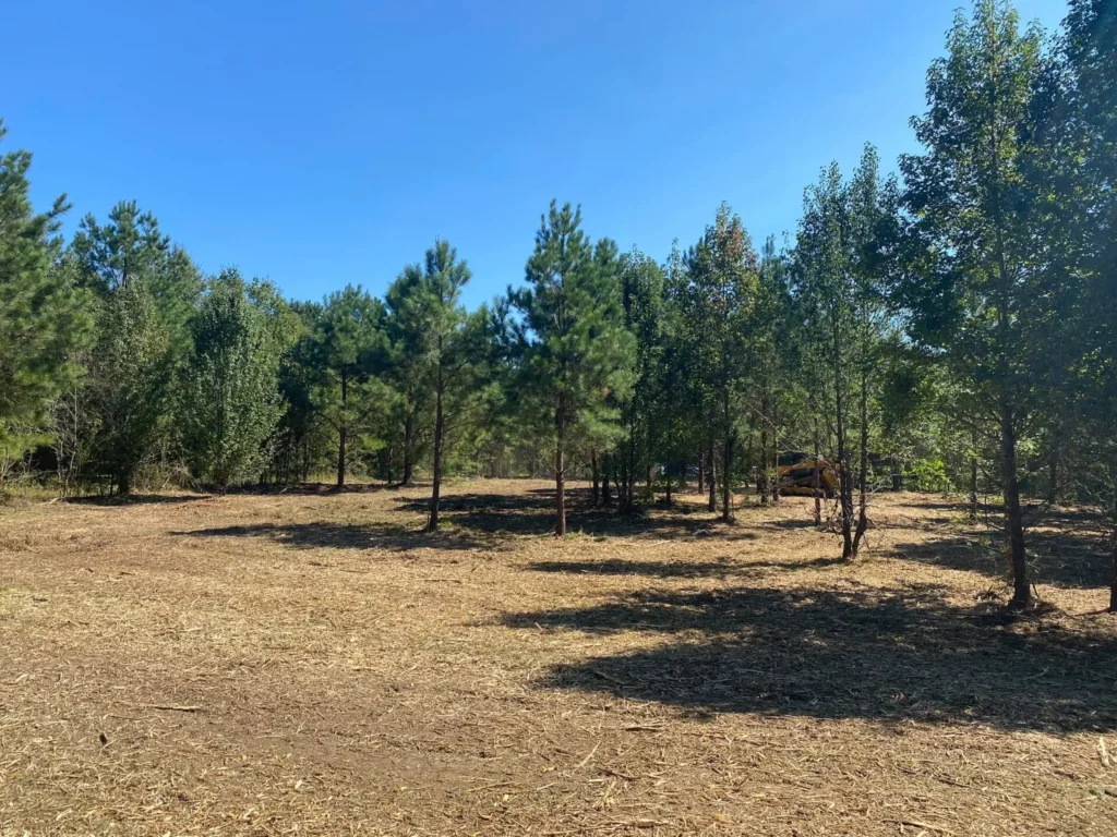 Georgia Forestry Mulcing and Brush Mowing