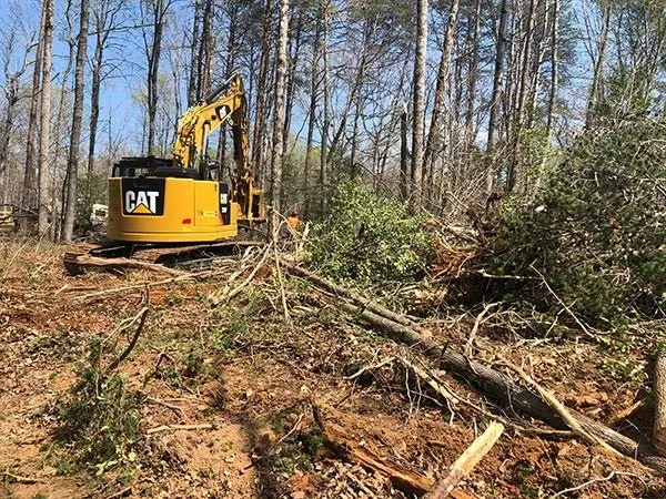 Georgia Land Clearing Spartan Enterprise