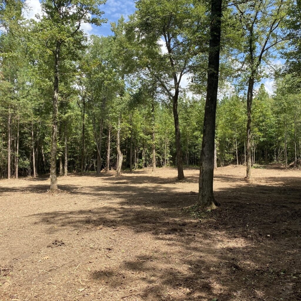 Forestry Mulching Calhoun, GA - Spartan Enterprise